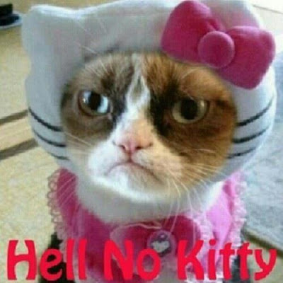 Hell no Kitty